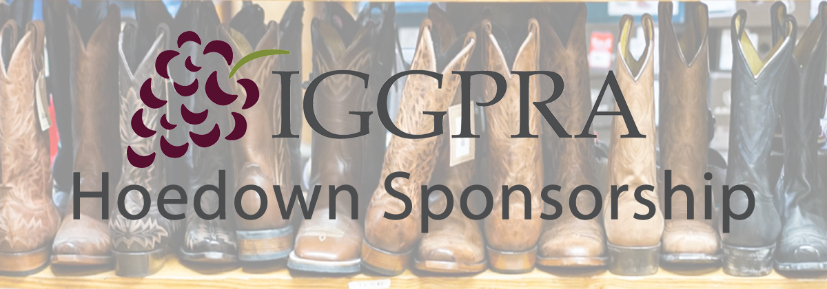 Hoedown Sponsorship Opportunity Banner